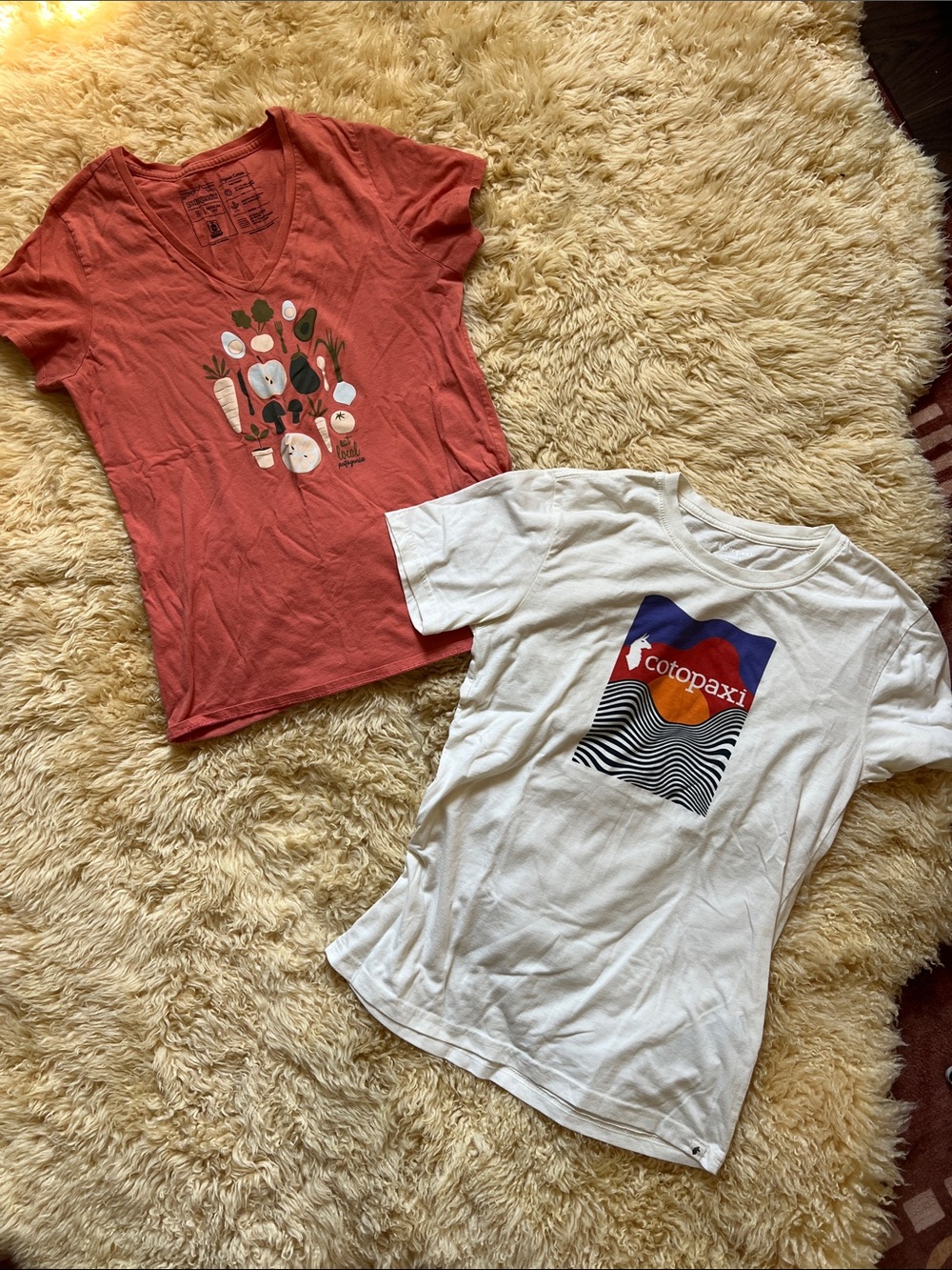 Patagonia Cotopaxi Shirt Bundle